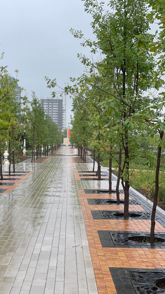 Приствольная решетка для дерева ZKING CRUST 1.2х1.2м Черная в Михайловске фото