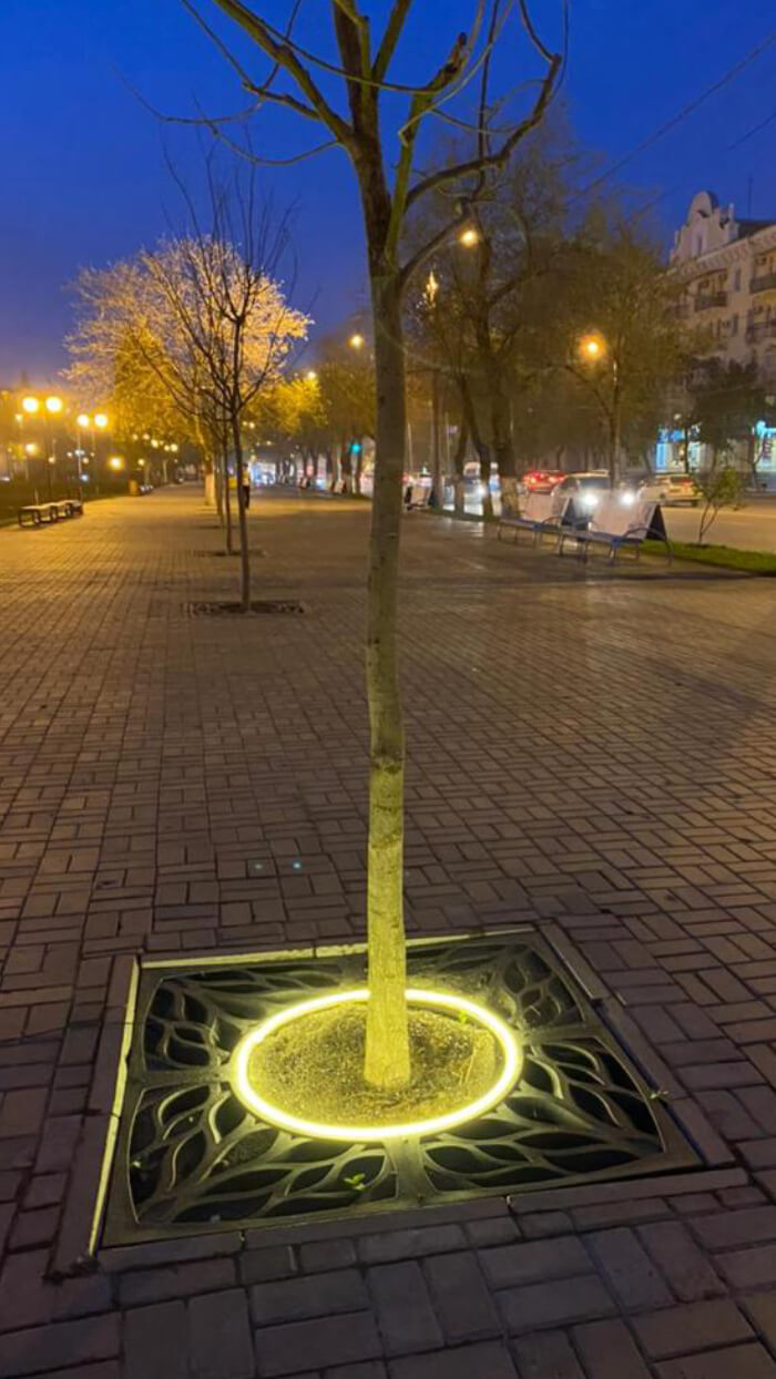 Приствольная решетка для дерева ZKING CRUST 1.2х1.2м Черная в Михайловске фото